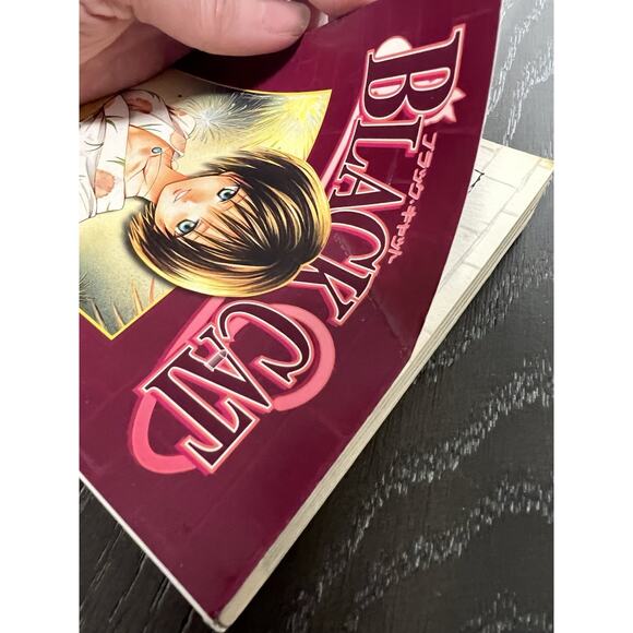 Black Cat Manga Volumes 1-13 English by Kentaro Yabuki - Paperback 1st Eds - Picture 15 of 16